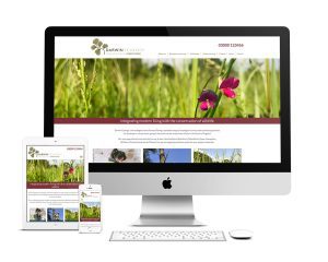 Darwin Ecology website design