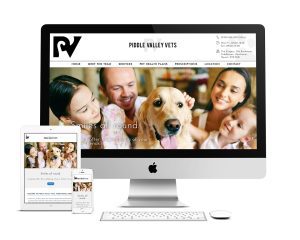 Piddle Valley Vets website management