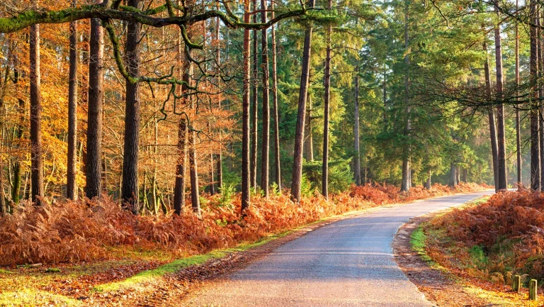 Knighton Countryside Management